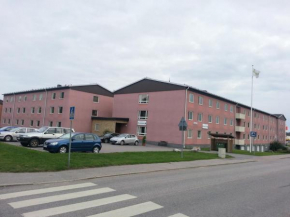 Отель Vandrarhem Tre Knektar Köping  Чёпинг
